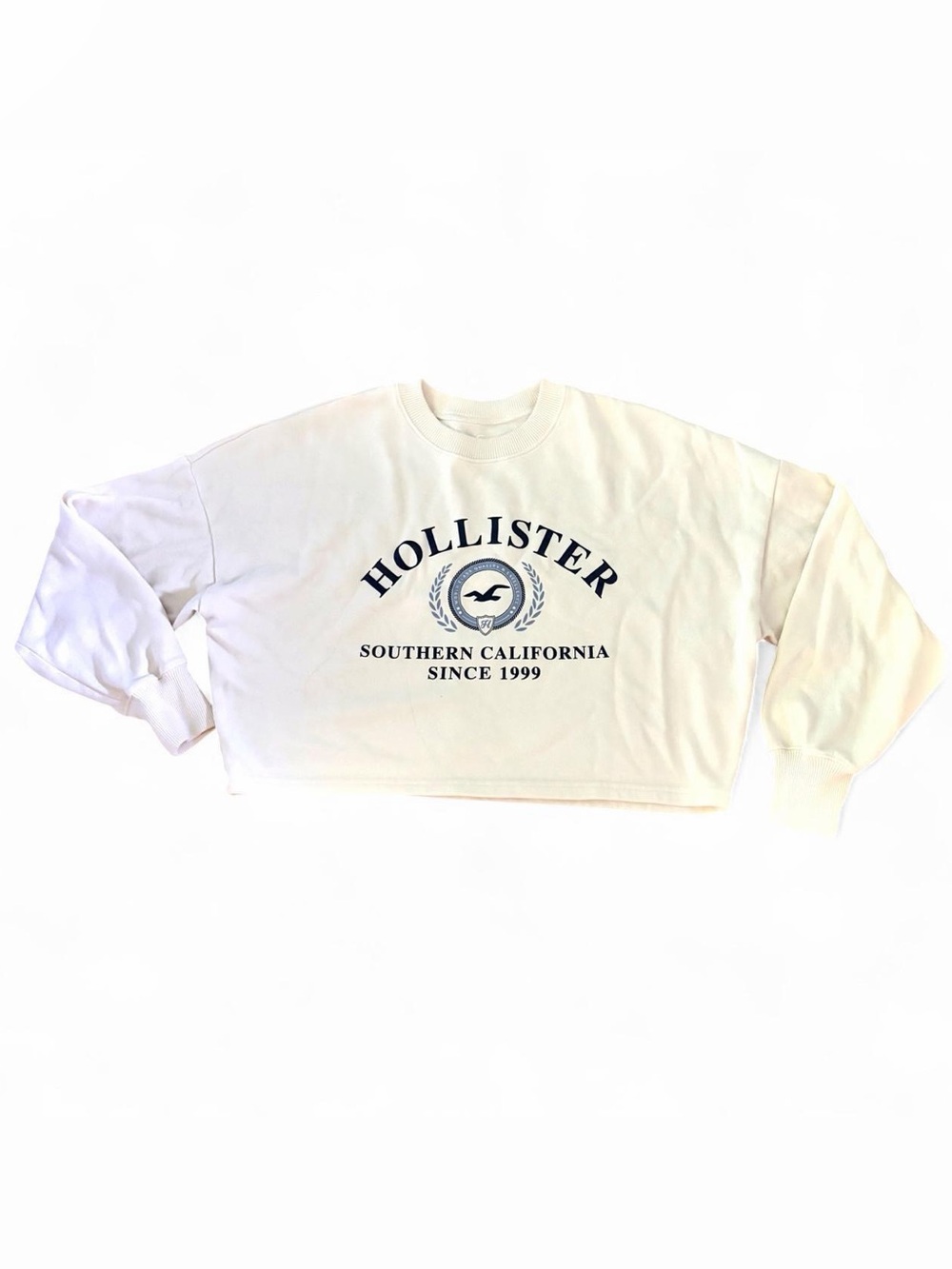 Hollister Co. cropped sweatshirt with blue logo